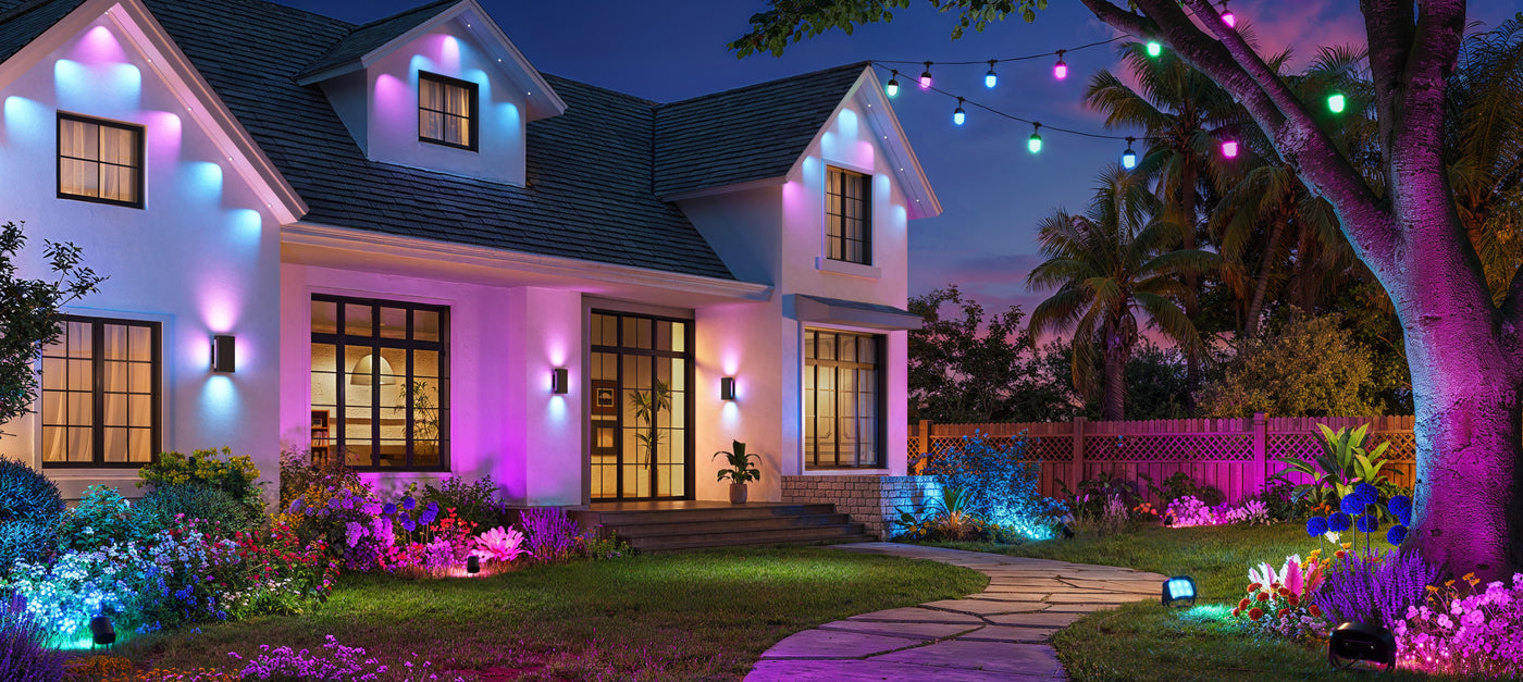 Govee Lights